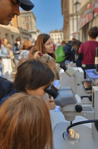 Science4All 2025 DMM