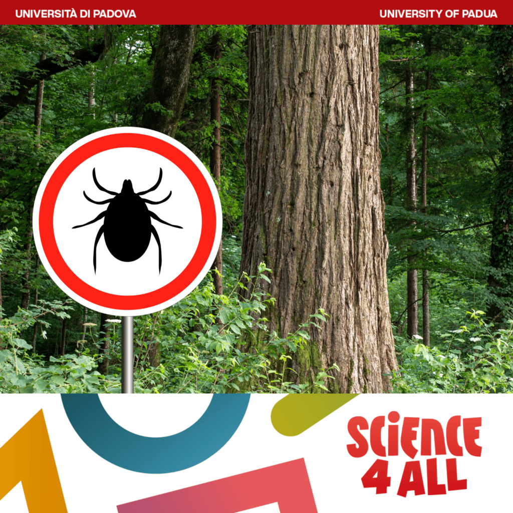Zecche alimentazione trasmissione Science4All 2025 DMM