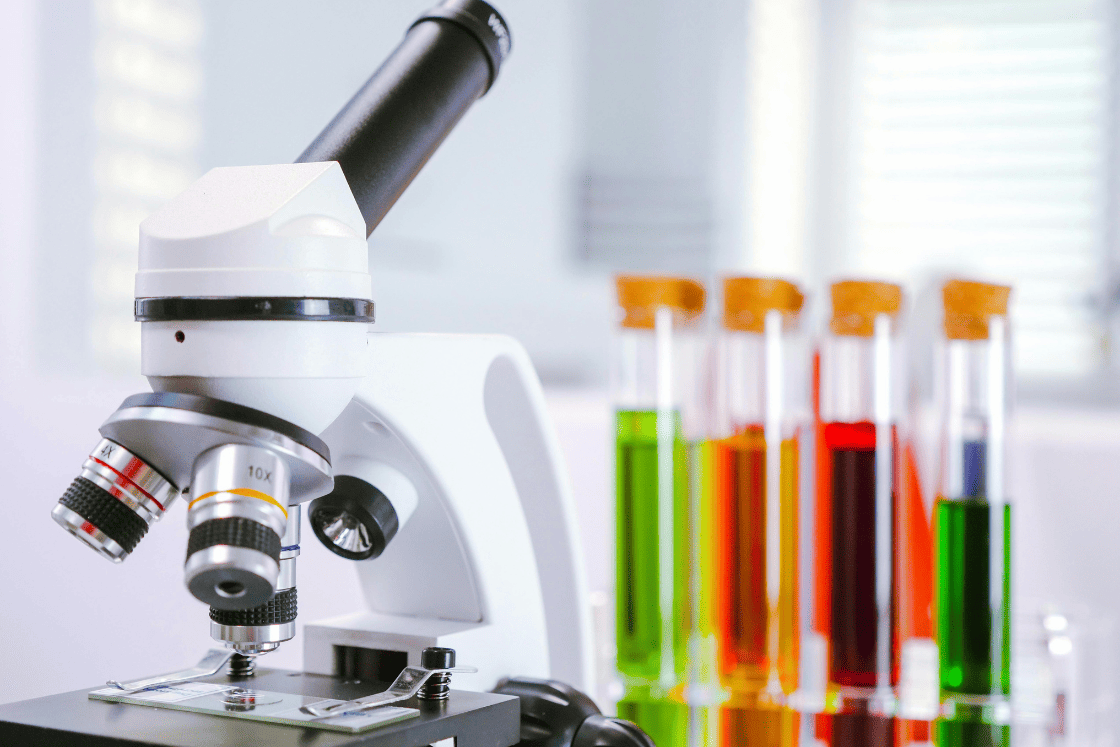 Anna Urciuolo 2026 Incontri serali Palazzo Moroni