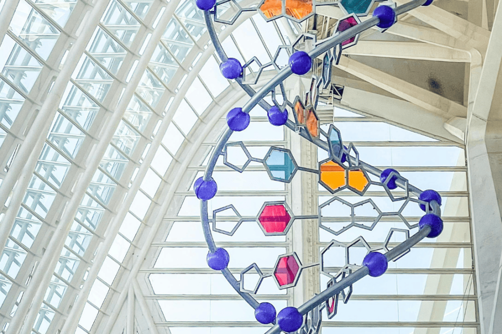 DNA Tusino Trevisan Palazzo Moroni Sala Anziani Padova marzo 2026