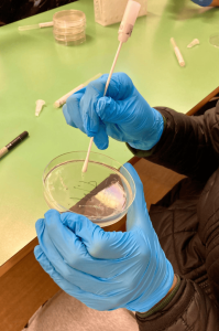 Attività nelle scuole DMM