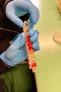 MicroLab attività nelle scuole DMM